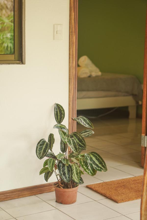 Gala Apts Playa Santa Teresa  المظهر الخارجي الصورة